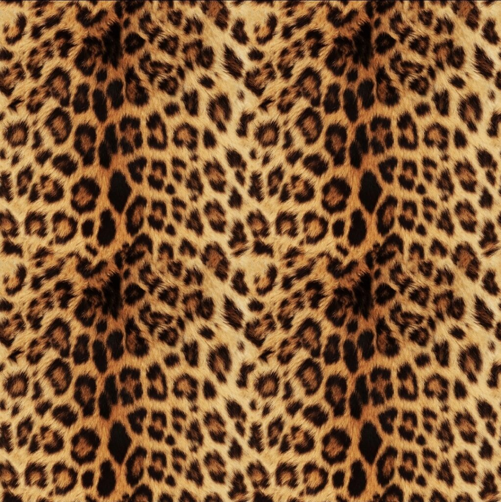 A006 – Leopard print A006 – Leopard print 7